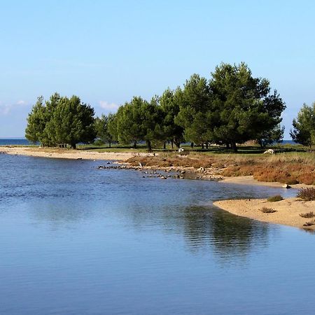 Apartments With A Parking Space Zaton, Zadar - 15000 자톤 외부 사진